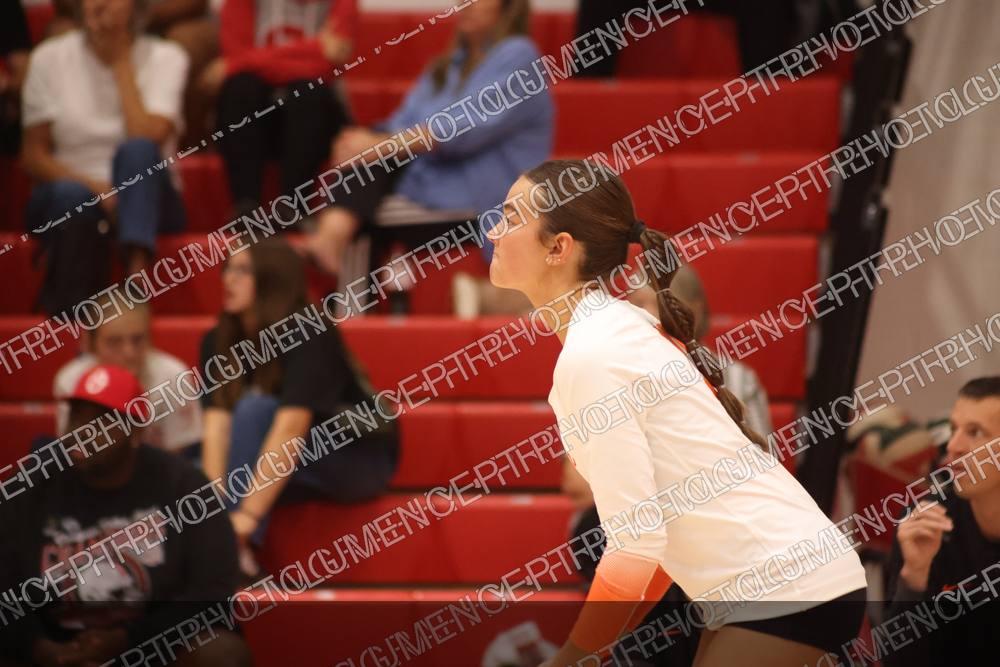 Photo preview