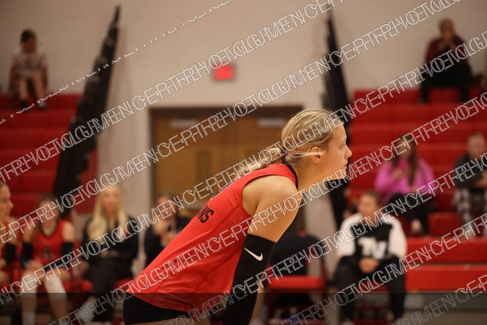Photo preview