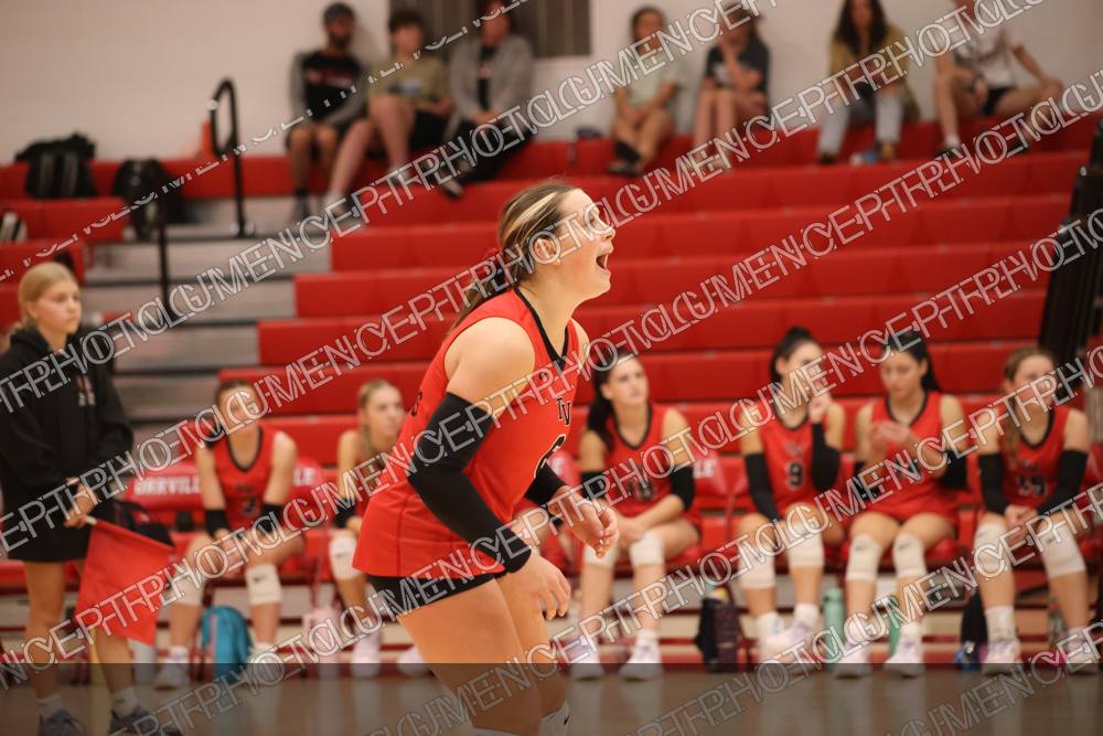 Photo preview