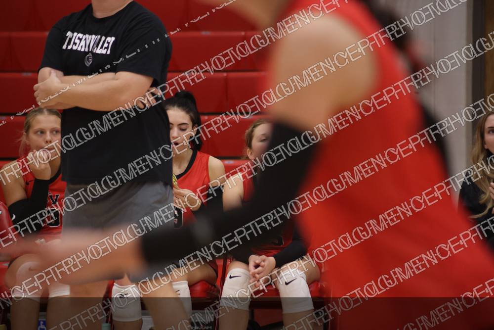 Photo preview