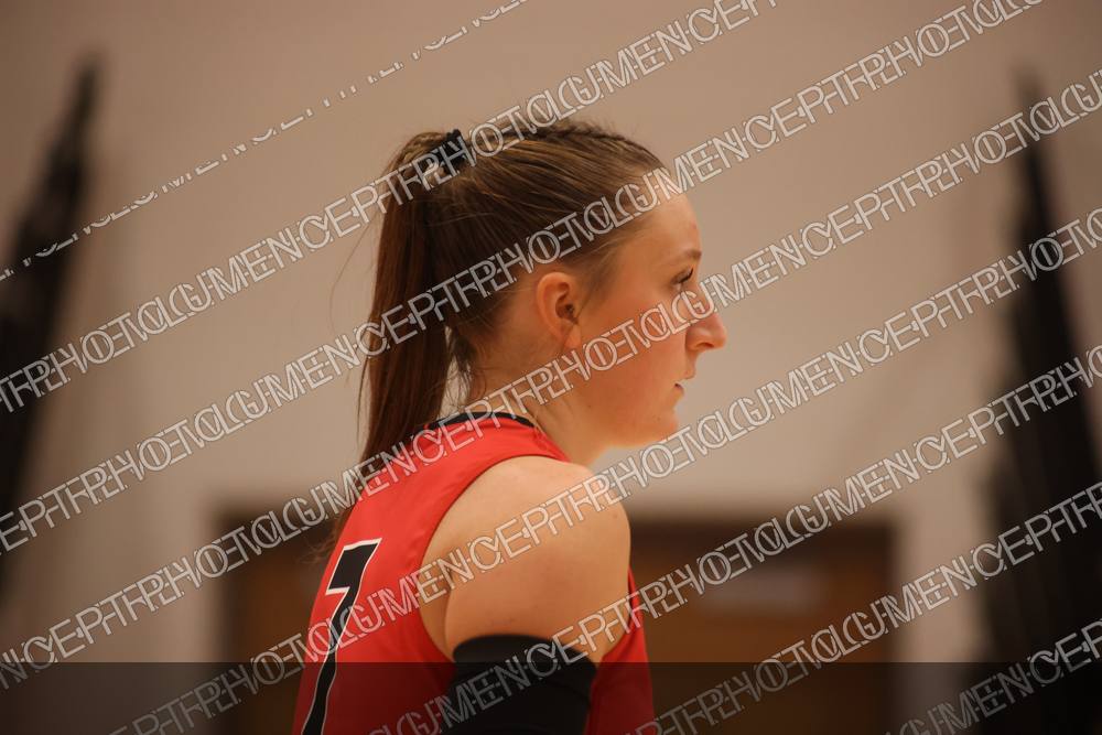 Photo preview