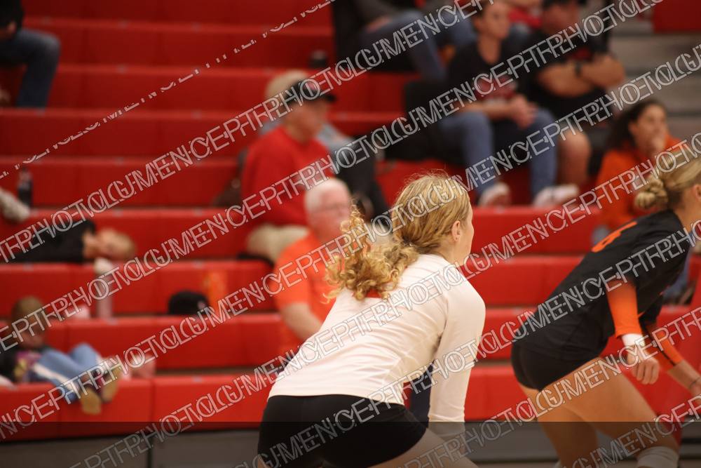 Photo preview