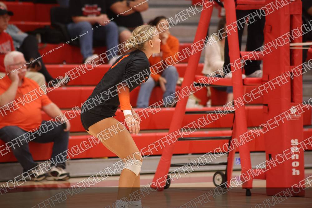 Photo preview