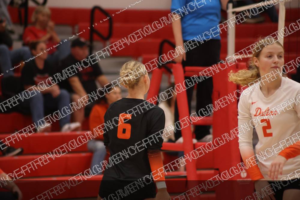 Photo preview