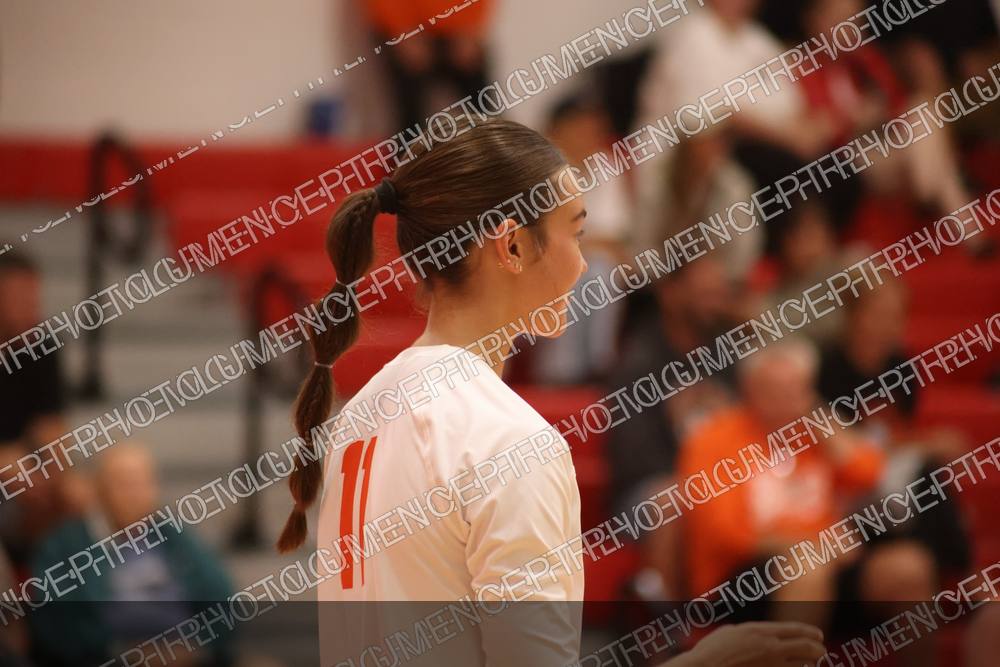 Photo preview