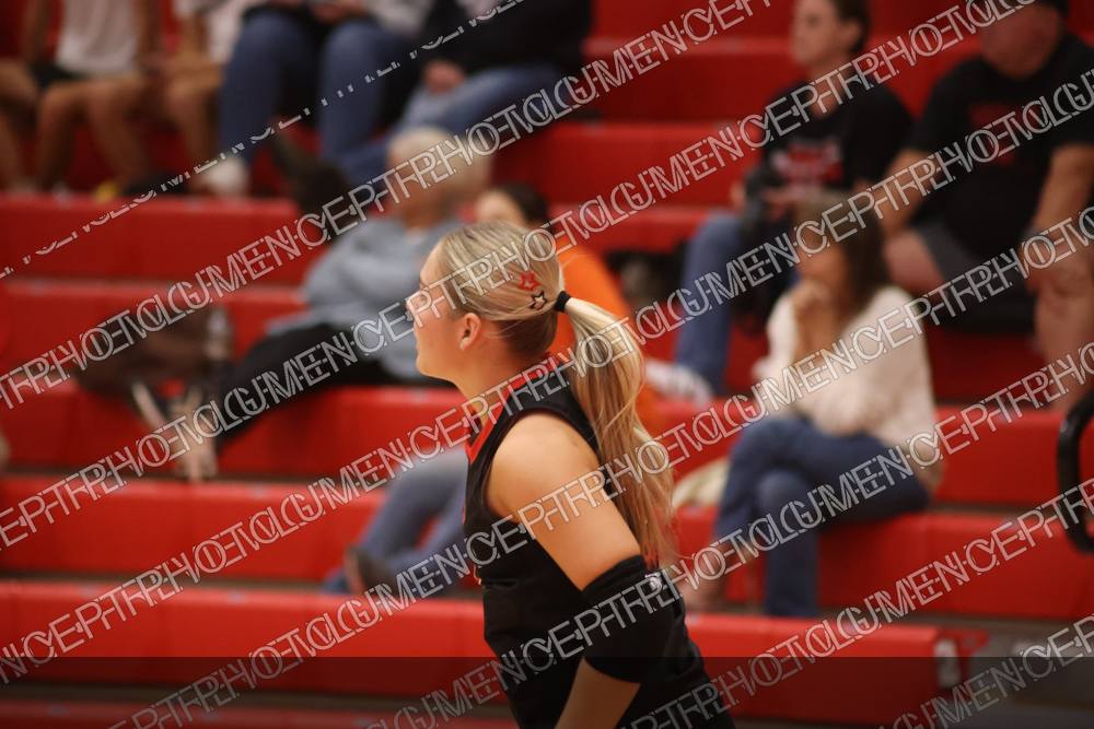 Photo preview