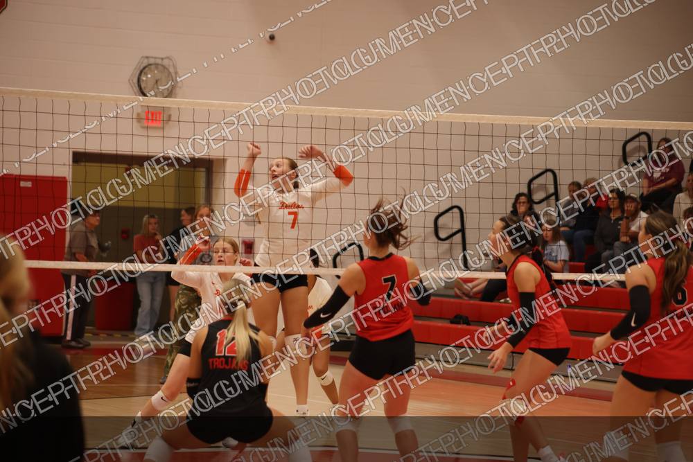 Photo preview