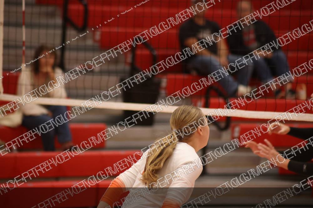 Photo preview