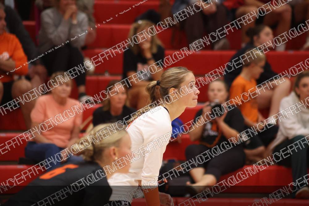 Photo preview