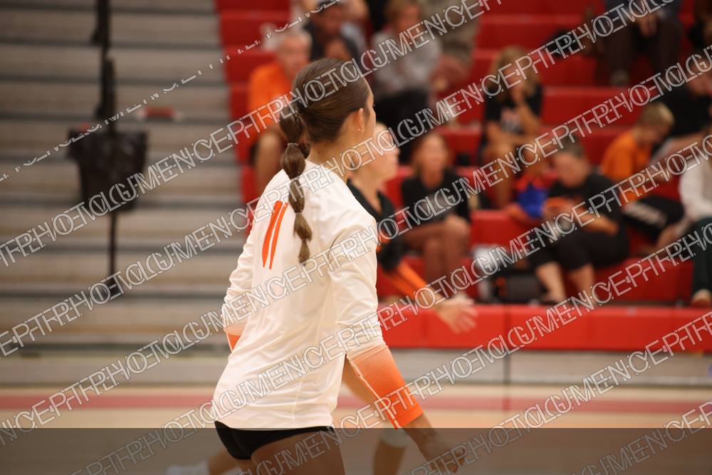 Photo preview