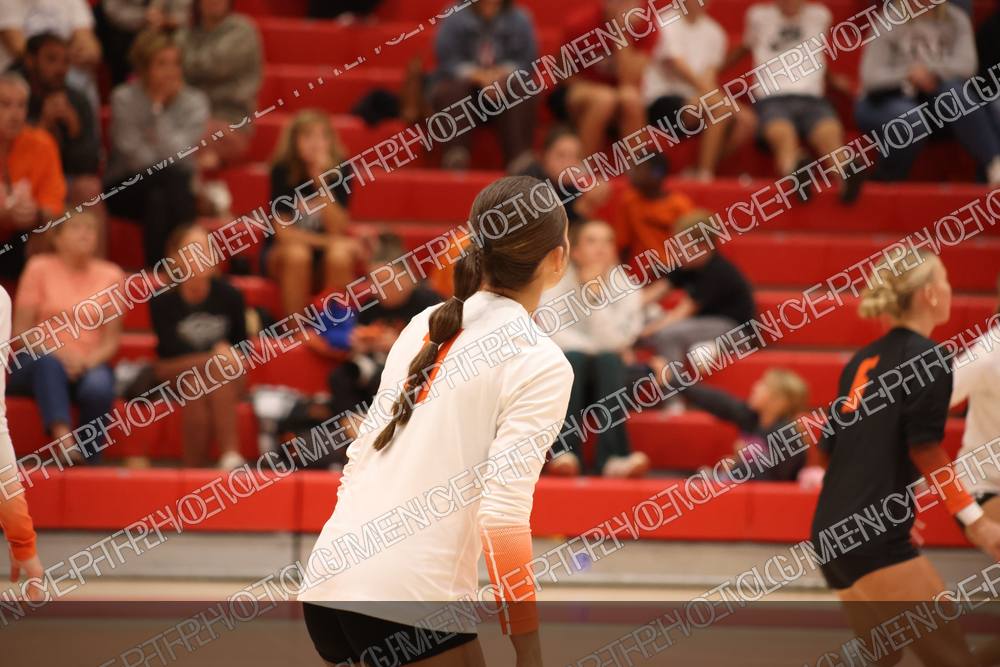 Photo preview