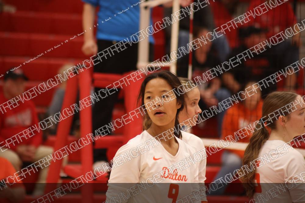 Photo preview