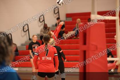 Game photo preview