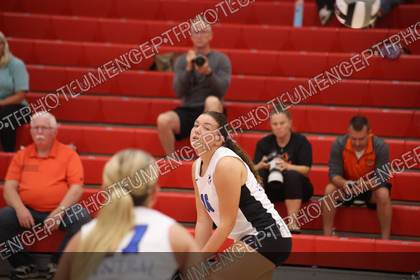 Game photo preview