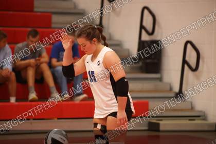 Game photo preview