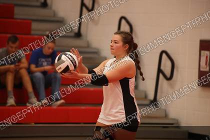Game photo preview