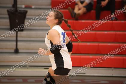 Game photo preview