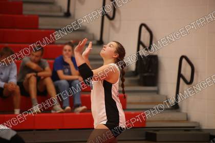 Game photo preview