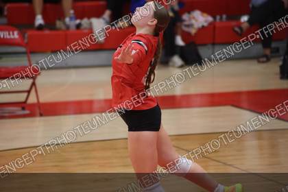 Game photo preview