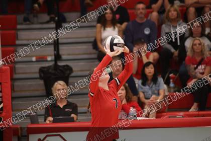 Game photo preview