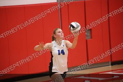 Game photo preview