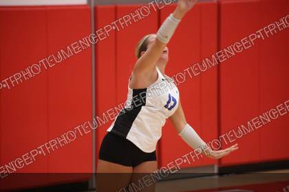 Game photo preview