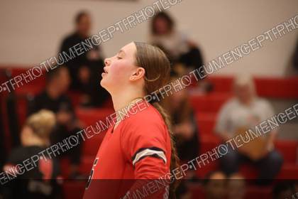 Game photo preview