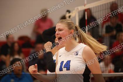 Game photo preview