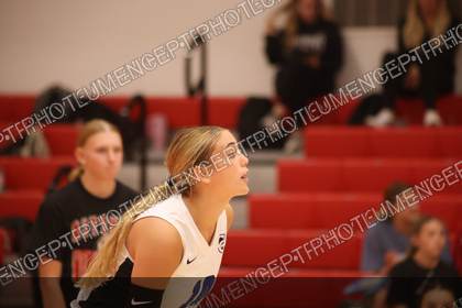Game photo preview