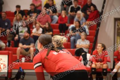 Game photo preview