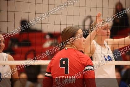 Game photo preview