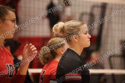 Game photo preview