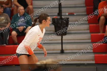 Game photo preview