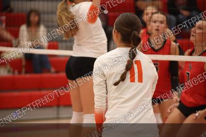 Game photo preview
