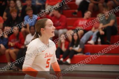 Game photo preview