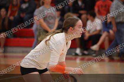 Game photo preview