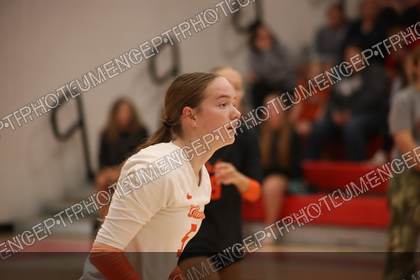 Game photo preview
