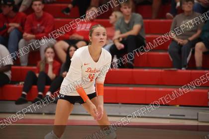 Game photo preview