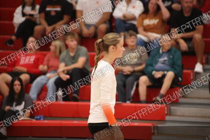 Game photo preview