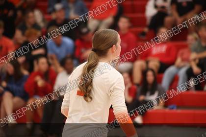 Game photo preview