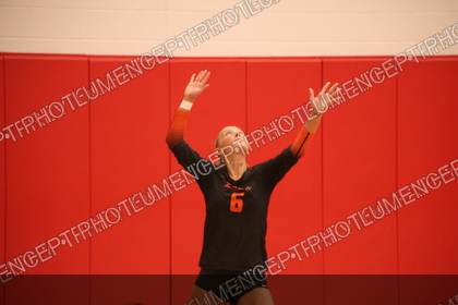 Game photo preview
