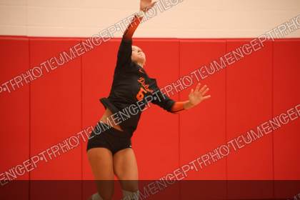 Game photo preview