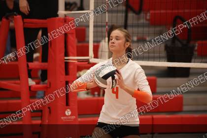 Game photo preview