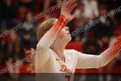 Game photo preview