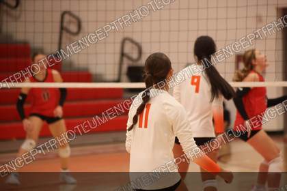 Game photo preview