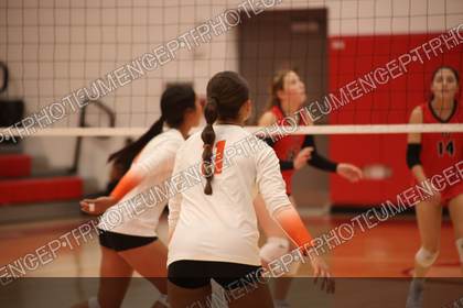 Game photo preview