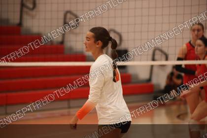Game photo preview