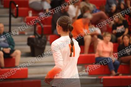 Game photo preview