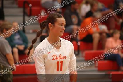 Game photo preview