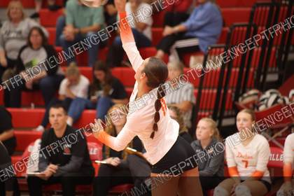Game photo preview